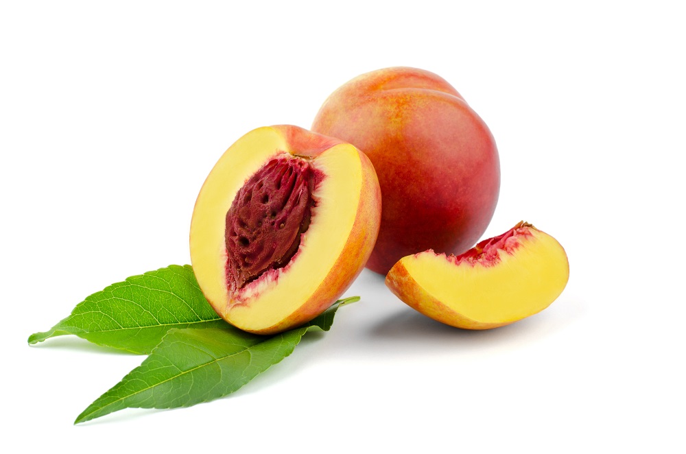 cara menanam buah persik